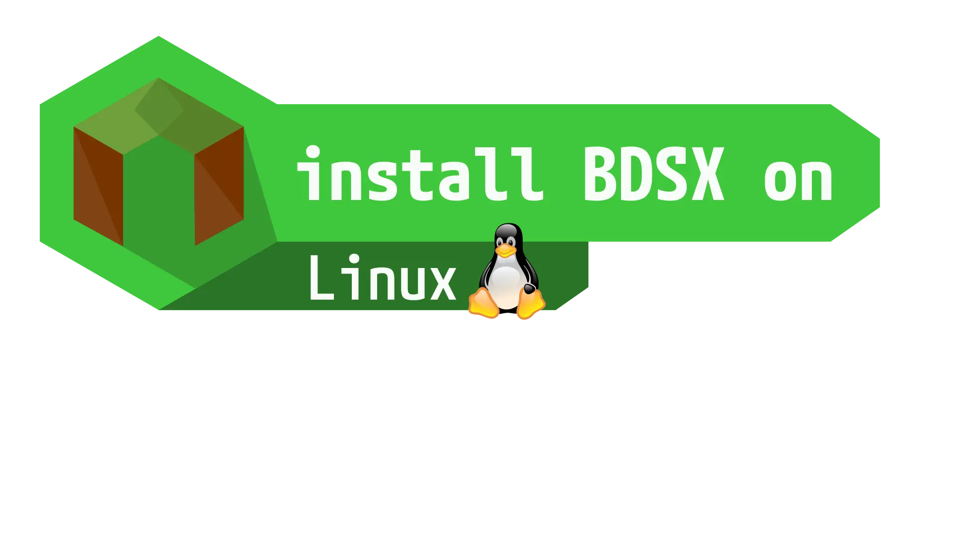 How to install BDSX server software on Linux